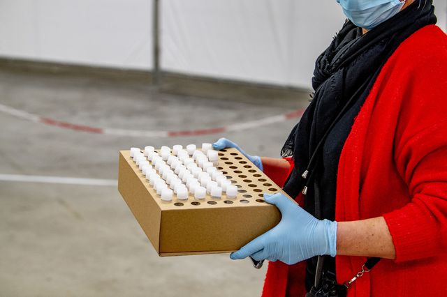 A woman wearing gloves and holding dozens of samples in a tray